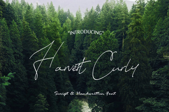 Harvest Curly: A Handwritten Font for Crafters